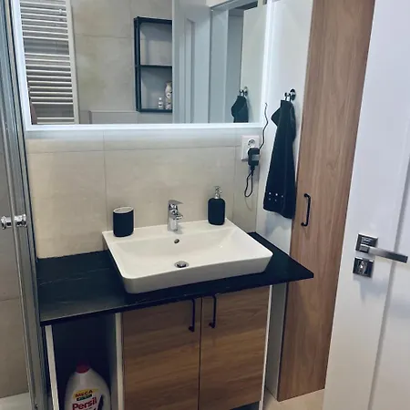 Apartment Auerswaldova *