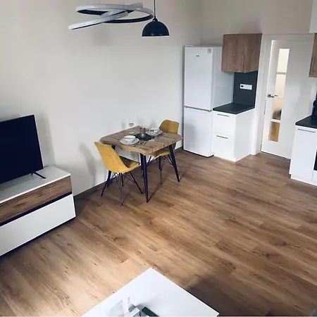 Auerswaldova Apartment